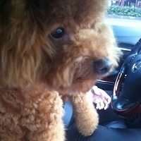 Kirby.2011.05.28-006.JPG