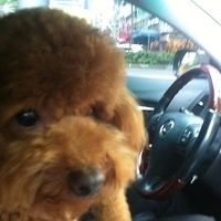 Kirby.2011.05.28-007.JPG