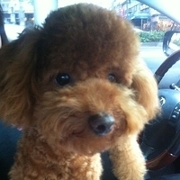 Kirby.2011.05.28-011.JPG