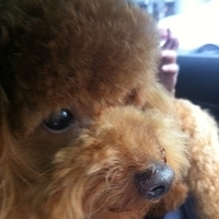 Kirby.2011.05.28-012.JPG