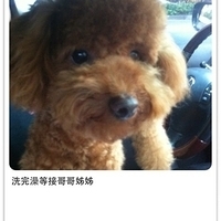 Kirby.2011.05.28-013.JPG