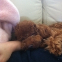 Kirby.2011.05.29-001.JPG