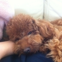Kirby.2011.05.29-002.JPG
