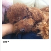 Kirby.2011.05.29-003.JPG