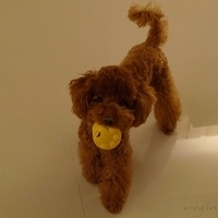 Kirby.2011.05.29-004.JPG