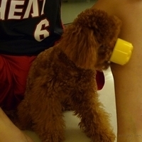 Kirby.2011.05.29-005.JPG