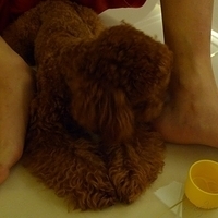 Kirby.2011.05.29-007.JPG