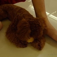 Kirby.2011.05.29-008.JPG