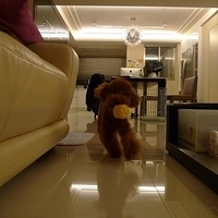 Kirby.2011.05.29-011.JPG