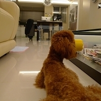 Kirby.2011.05.29-015.JPG