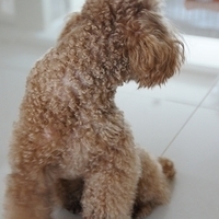 Kirby.2012.05.07-001.JPG
