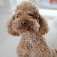 Kirby.2012.05.07-003.JPG