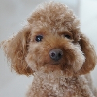 Kirby.2012.05.07-004.JPG