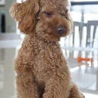 Kirby.2012.05.07-005.JPG