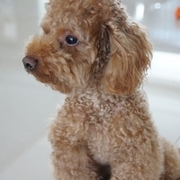 Kirby.2012.05.07-007.JPG