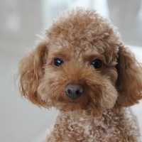 Kirby.2012.05.07-008.JPG
