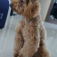 Kirby.2012.05.07-009.JPG