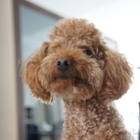 Kirby.2012.05.07-010.JPG