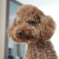 Kirby.2012.05.07-011.JPG