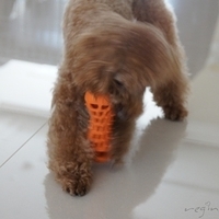 Kirby.2012.05.07-013.JPG