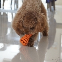 Kirby.2012.05.07-014.JPG