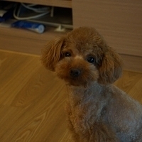Kirby.2012.05.21-001.JPG