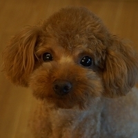 Kirby.2012.05.21-002.JPG