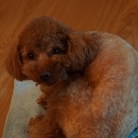 Kirby.2012.05.21-003.JPG