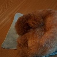 Kirby.2012.05.21-004.JPG