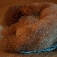 Kirby.2012.05.21-005.JPG