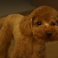 Kirby.2012.05.21-006.JPG