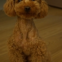 Kirby.2012.05.21-008.JPG