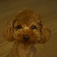 Kirby.2012.05.21-009.JPG
