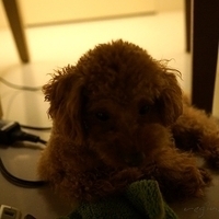 Kirby.2012.05.22-003.JPG