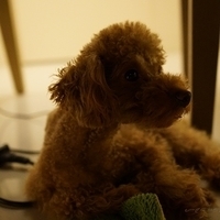 Kirby.2012.05.22-004.JPG