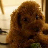Kirby.2012.05.22-005.JPG