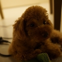 Kirby.2012.05.22-006.JPG