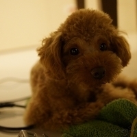 Kirby.2012.05.22-007.JPG