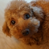 Kirby.2012.05.28-001.JPG