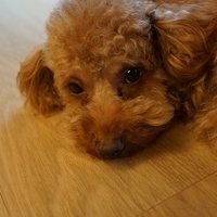 Kirby.2012.05.28-002.JPG