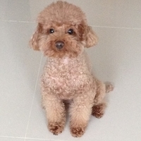Kirby.2013.05.03-001.JPG