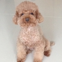 Kirby.2013.05.03-002.JPG