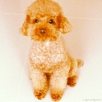 Kirby.2013.05.03-003.JPG