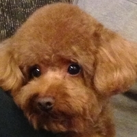 Kirby.2013.05.04-001.JPG