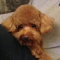 Kirby.2013.05.04-002.JPG