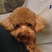 Kirby.2013.05.04-003.JPG