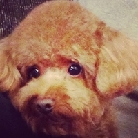 Kirby.2013.05.04-004.JPG