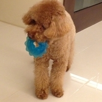 Kirby.2013.05.05-001.JPG