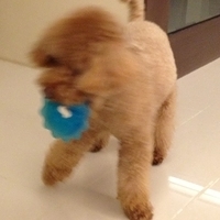 Kirby.2013.05.05-002.JPG