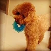 Kirby.2013.05.05-004.JPG
